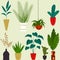 Set of beautiful indoor plants. Flowers in pots. Gardening decoration. Vector illustration in flat cartoon style.