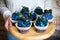 A set of beautiful mouth-watering cupcakes with blue cream and blueberries and blackberries in the hands, cakes handmade desserts