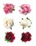 Set of beautiful peonies on white background. Bright bouquets