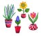 Set of beautiful red flower pots with flowers.