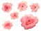 Set of beautiful watercolor flowers on white background