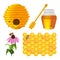 Set of beekeeping elements vector beehive, honeycomb, flower, fresh honey