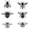 Set of bees in zentangle style. Collection of flies with ornaments. Black and white vector illustration of stylized