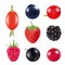 Set of berries. Realistic pictures of fresh fruits and berries isolate on white
