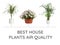 Set of best house plants for air quality improvement on background