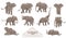 Set of big gray african elephants biggest earth mammal cartoon animal design vector illustration on white background