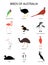 Set with birds of Australia -gouldian amadina, flamingo, cassowary, duck,pheasant, magellanic penguin, pelican, swan, ostrich emu