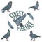 Set of birds city urban street pigeons on white background with feather editable vector illustration