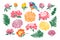 Set with birds and flowers. Peony chrysanthemum clover tulip fern.