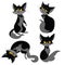 Set of black cats. Collection of cartoon cats for Halloween. Lovely playing black kittens. Vector illustration of pet