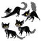 Set of black cats. Collection of cartoon cats for Halloween. Lovely playing black kittens. Vector illustration of pet