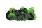 A set of black charcoal of various shapes and plants.Collection of pieces of coal, graphite, basalt and anthracite. The