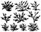 Set of black coral seaweeds silhouettes flat vector illustration isolated on white background