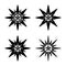 A set of black edelweiss icons. Alpine alpine flower, a symbol of many countries. 4 variants of the font.