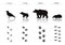 Set of Black Forest Animals and Birds Silhouettes: Crow, Frog, B