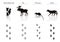 Set of Black Forest Animals and Birds Silhouettes: Woodpecker, E