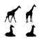 Set of Black Giraffe Silhouettes