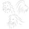 Set of black line lions heads on white background. Sketch style