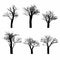 Set of black naked trees silhouette set. Hand drawn isolated.