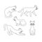 Set of black outline cats. Isolated black line running, sitting, washing, lying, playing cat on white background. Page of coloring