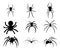 Set of black silhouette spider icon