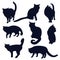 Set of black silhouettes of cats in different poses