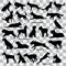 A set of black silhouettes of dogs on a transparent background. Set of vector illustrations