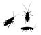 Set of black vector silhouette cockroach isolated on white. Top and side view.