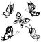 Set black white butterflies of a tattoo