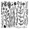 Set of black and white doodle elements, meadow, rose, grass, bushes, leaves, flowers. Vector illustration, Great design