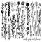 Set of black and white doodle elements, rose, grass, bushes, leaves, flowers. Vector illustration, Great design element
