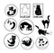 Set of black and white icons, stickers, cards with funny cats and kittens. Vector design elements