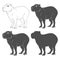 Set of black and white illustration with capybara. Isolated vector object.