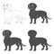 Set of black and white illustrations with the image of a dachshund dog. Isolated vector objects.
