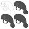 Set of black and white illustrations with manatee, a sea cow. Isolated vector objects.