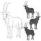 Set of black and white illustrations with oryx antelope. Isolated vector objects.