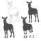 Set of black and white images with okapi. Isolated vector objects.