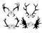 Set of black and white silhouettes of deer and elk horns with flowers. The object is separate from the background