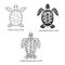 Set of black and white vector cliparts of Green sea turtle, Hawksbill sea turtle and Leatherback sea turtle. Three species of