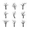 Set Black Winter Naked Trees. Vector Illustration.