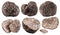 Set of black winter truffle and truffle slices on white background. File contains clipping path