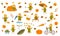 Set blond girl in an autumn jacket plays with leaves, launches a paper boat, rides a bicycle, carries pumpkins and has fun in the