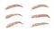 Set of blonde eyebrows in different shapes. Linear vector Illustration in trendy minimalist style. Brow bar logo