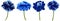 Set blue flowers.  Blue peony, rose, daisy  on  white background. For design. Nature