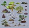 Set of bonsai Japanese trees grown in containers. Beautiful realistic tree, garden stone, plant. Bonsai tree on the box