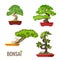 Set of bonsai Japanese trees grown in containers vector illustration