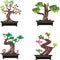 Set of bonsai trees. vector illustration.