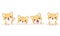 Set of borders with kawaii shiba inu puppy