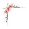 Set Botanic Blossom Floral Elements. Bloom Foliage