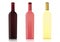 Set of bottles of different types of wines without labels, vector realistic drawing. Bottle of red wine, bottle of rose
